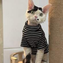 条纹高领猫咪毛衣，舒适有弹性，适合春夏穿着，尤其适合斯芬克斯猫和德文卷毛猫等无毛猫。 - 黑色 - 查看 7