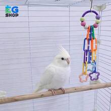 1件 咀嚼解悶鳥類玩具，附彩色珠子與星星配件，鮮豔色彩，耐用互動設計滿足小型鸚鵡咀嚼本能，適合情侶鳥與玄鳳鸚鵡 - 查看 7