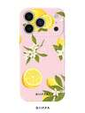 Cases