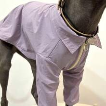 灰狗防晒衬衫，纯色，超薄，速干，户外休闲遛狗防晒防尘夏季宠物服装 - 淡紫色 - 查看 4