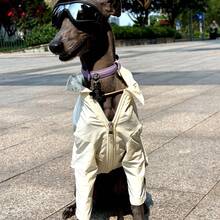 Greyhound Sunscreen Shirt, Solid Color, Ultra-Thin, Quick-Drying, Outdoor Casual Dog Walking Sunscreen Dust-Proof Pet Clothes For Summer - Beige - View 8