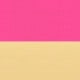 Golden Yellow + Rose Red