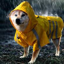 带反光条的狗狗雨衣，双腿防风防水带帽狗狗雨披 - 黃色 - 查看 3