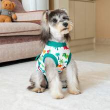 宠物术后恢复服，狗狗手术恢复套装，母犬，用于绝育手术，可替代伊丽莎白圈和伊丽莎白圈，防舔透气，适合中小型犬 - 彩色 - 查看 12