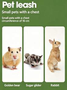 Dây dắt chuột hamster, sóc, áo nịt gấu bông, chuột lang, dây dắt chuột đi dạo ngoài trời - Nhiều màu - Xem 5