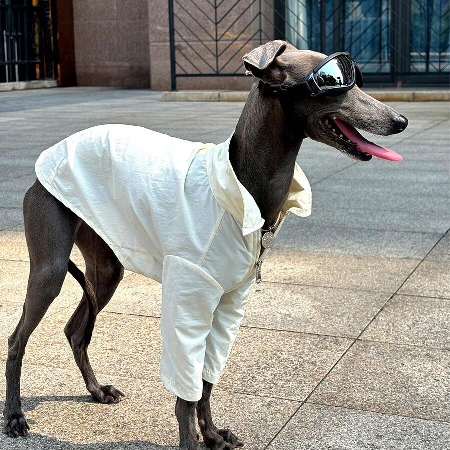 Greyhound Sunscreen Shirt, Solid Color, Ultra-Thin, Quick-Drying, Outdoor Casual Dog Walking Sunscreen Dust-Proof Pet Clothes For Summer - Beige - View 1