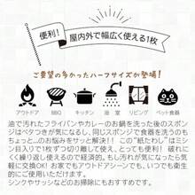 合成紙たわし 食器洗いシート 30枚入 グリーン - 写真の通り - チェックする 3