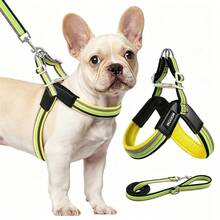 (2pcs) No-Pull Dog Harness Step-In Adjustable Vest Soft Padded Easy Pet Chest Strap With Leash Clip, Suitable For Small And Medium Dogs Walking Training - Multicolor - View 6