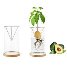 6pcs Hydroponic Seed Starter Pots, Transparent Conical Seed Germination Containers, Suitable For Avocado And Other Seedlings, Lightweight Classic Hanging Pots, For Indoor And Outdoor Gardening, Ideal For Beginners And Hobbyists - Multicolor - View 9