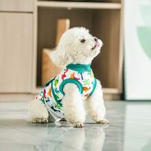 宠物术后恢复服，狗狗手术恢复套装，母犬，用于绝育手术，可替代伊丽莎白圈和伊丽莎白圈，防舔透气，适合中小型犬 - 彩色 - 查看 21
