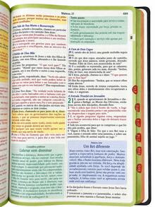 Bíblia de Estudo para o Cotidiano do Homem Capa Dura Clássico NVA Gigante Masculino Com Índice - Livro único - Visão 9