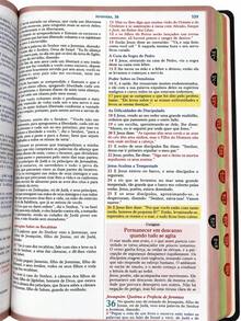 Bíblia de Estudo para o Cotidiano do Homem Capa Dura Clássico NVA Gigante Masculino Com Índice - Livro único - Visão 8