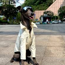 Greyhound Sunscreen Shirt, Solid Color, Ultra-Thin, Quick-Drying, Outdoor Casual Dog Walking Sunscreen Dust-Proof Pet Clothes For Summer - Beige - View 7