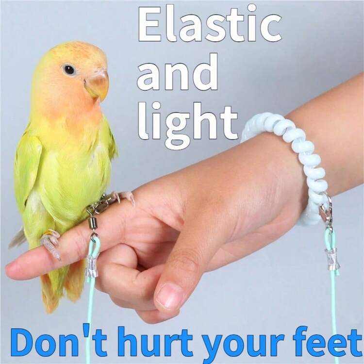 Adjustable Parrot Outdoor Harness Leash Anti-Fly Training Walking Rope For Budgie Cockatiel Sun Conure - Multicolor - View 8