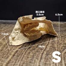 3D打印水下洞穴装饰,适用于鱼缸,逼真的石头和贝壳主题藏身处,适合小型鱼类和虾类,淡水和海水水族箱均适用。 - 歡樂水族 - 查看 18