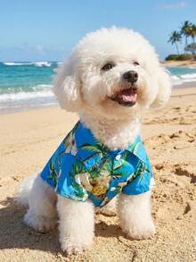 一件欧美风春夏小型/中型犬沙滩衬衫，夏威夷风宠物服装，适合狗狗、猫咪、金毛寻回犬等。 - 藍色 - 查看 11