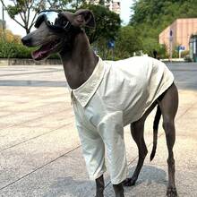 Greyhound Sunscreen Shirt, Solid Color, Ultra-Thin, Quick-Drying, Outdoor Casual Dog Walking Sunscreen Dust-Proof Pet Clothes For Summer - Beige - View 6
