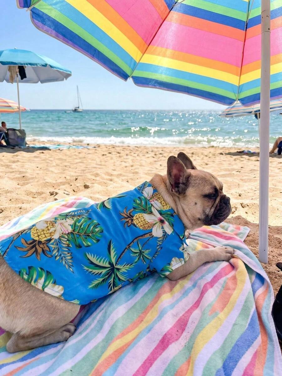一件欧美风春夏小型/中型犬沙滩衬衫,夏威夷风宠物服装,适合狗狗、猫咪、金毛寻回犬等。 - 藍色 - 查看 1