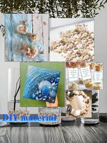 Winzige Seesterne und winzige Mini-Muscheln zum Basteln, Spiralmuscheln zum Basteln, Charms für Heimdekoration, Kerzendekor, DIY Aquarium und Strandvasen Füllmaterial - Verschiedenfarbig - Übersicht 4