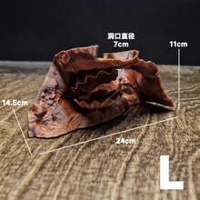 3D打印水下洞穴装饰,适用于鱼缸,逼真的石头和贝壳主题藏身处,适合小型鱼类和虾类,淡水和海水水族箱均适用。 - 歡樂水族 - 查看 12