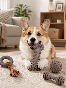 Bộ 4 món đồ chơi gặm cho chó, đồ chơi mềm mại, bền chắc màu hồng dễ thương cho chó con, đồ chơi cao su tương tác nhiều hình dạng khác nhau dành cho huấn luyện và vui chơi của chó nhỏ. - Xám - Xem 2