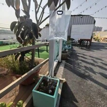 家用植物生命维持系统 - 自动浇水系统 - 趣味园艺礼品 - 家居装饰 - 室内浇水器 - A - 查看 2