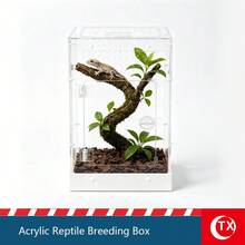壓克力無脊椎動物飼養盒,爬蟲與昆蟲透明餵食容器,8*8*12 可拆卸插接設計,適用於幼年塔蘭圖拉蜘蛛、跳蛛、小蛇、青蛙及其他兩棲動物,耐用堅固,附門與磁吸頂蓋,通風良好且底部防水,360°全景視角觀察寵物活動 - 彩色 - 查看 3