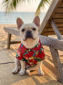 一件欧美风春夏小型/中型犬沙滩衬衫，夏威夷风宠物服装，适合狗狗、猫咪、金毛犬等。 - 紅色 - 查看 8