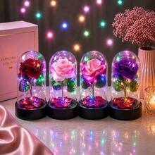 Enchanted Rose With LED Light – Decorative Eternal Flower In Acrylic Dome - PINK ROSE (NEW) - View 3