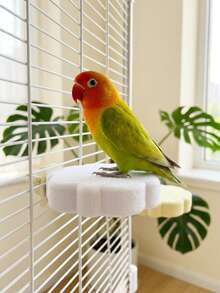Sân chơi cho vẹt Budgerigar | Cây dừa và cành nấm, đồ chơi đa chức năng cho lồng chim (bao gồm bóng gặm/chuông/cành), vật dụng thiết yếu cho thú cưng nhỏ thư giãn. - Nhiều màu - Xem 3