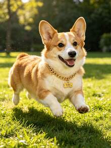 Collar de cadena personalizado y grabado para perros, cadena súper gruesa con placa de identificación con hueso desmontable, collar de mascota con nombre personalizado adecuado para perros pequeños, medianos y grandes - Multicolor - Ver 3