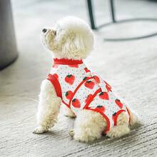宠物术后恢复服，狗狗手术恢复套装，母犬，用于绝育手术，可替代伊丽莎白圈和伊丽莎白圈，防舔透气，适合中小型犬 - 彩色 - 查看 11