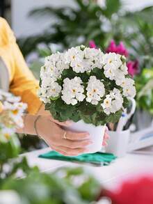 Lot de 5 fleurs artificielles de printemps et d'été (11,81 pouces, 5 têtes), en forme de pommier sauvage, disponibles en rouge, blanc et rose. Idéales pour décorer une table, un jardin intérieur ou extérieur, des compositions florales de mariage et pour remplir des vases. Parfaites pour les fêtes, les anniversaires, les cours, les porches, la décoration de la maison et du bureau, ainsi que pour les anniversaires de mariage, les remises de diplômes et autres occasions. - Multicolore - Voir 3