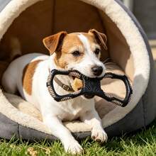 Juguete para masticar y juguete interactivo adecuado para razas de perros medianos y grandes - Multicolor - Ver 1
