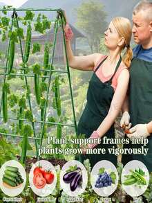 28pcs Durable Garden Support Stake Set, 28pcs Multi-Functional Garden Support Pole Set, Garden Yard Plant Climbing Trellis, Multi-Purpose Garden Support Pole, Plant Support Rack, Suitable For Various Fruits And Vegetables, Plant Support, Freely Combinable And Assembled - Military Green - View 2