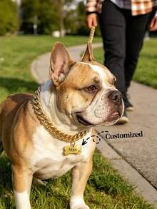 Collar de cadena personalizado y grabado para perros, cadena súper gruesa con placa de identificación con hueso desmontable, collar de mascota con nombre personalizado adecuado para perros pequeños, medianos y grandes - Multicolor - Ver 2