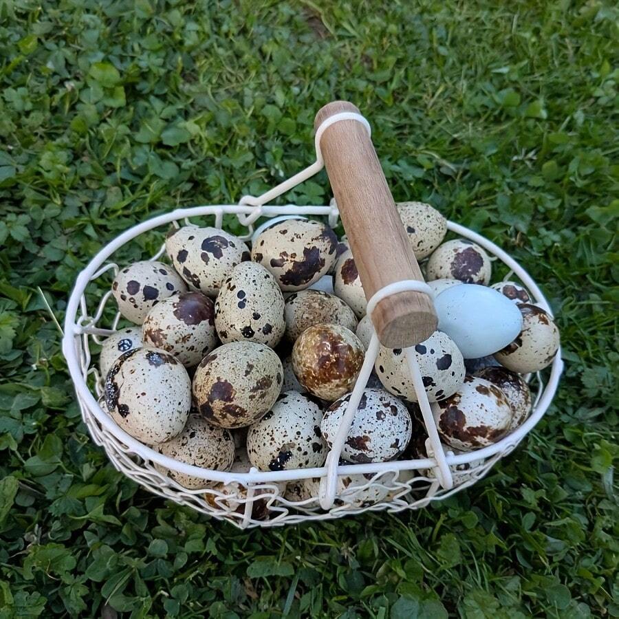Rustic Mini Egg Basket - Heavy Duty Iron & Wood Storage Rack Holds 24 Eggs - No Assembly Required, Suitable For Country Kitchen Or Living Room Decor, Home Storage, Fits Small Spaces, Desktop Storage Basket, Woven Basket - Multicolor - View 1