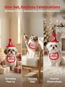1 Set Pet Birthday Hat And Bib, Cute Birthday Decorations Suitable For Cats And Dogs, Beloved Pet Birthday Gift - Multicolor - View 4