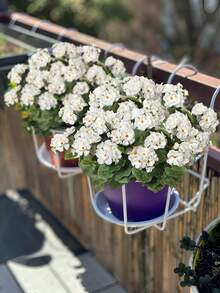 Lot de 5 fleurs artificielles de printemps et d'été (11,81 pouces, 5 têtes), en forme de pommier sauvage, disponibles en rouge, blanc et rose. Idéales pour décorer une table, un jardin intérieur ou extérieur, des compositions florales de mariage et pour remplir des vases. Parfaites pour les fêtes, les anniversaires, les cours, les porches, la décoration de la maison et du bureau, ainsi que pour les anniversaires de mariage, les remises de diplômes et autres occasions. - Multicolore - Voir 7