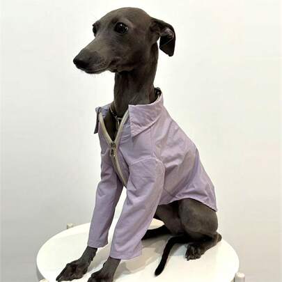Greyhound Sunscreen Shirt, Solid Color, Ultra-Thin, Quick-Drying, Outdoor Casual Dog Walking Sunscreen Dust-Proof Pet Clothes For Summer