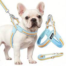 (2pcs) No-Pull Dog Harness Step-In Adjustable Vest Soft Padded Easy Pet Chest Strap With Leash Clip, Suitable For Small And Medium Dogs Walking Training - Multicolor - View 2