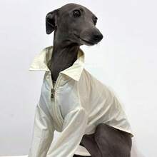 Greyhound Sunscreen Shirt, Solid Color, Ultra-Thin, Quick-Drying, Outdoor Casual Dog Walking Sunscreen Dust-Proof Pet Clothes For Summer - Beige - View 13