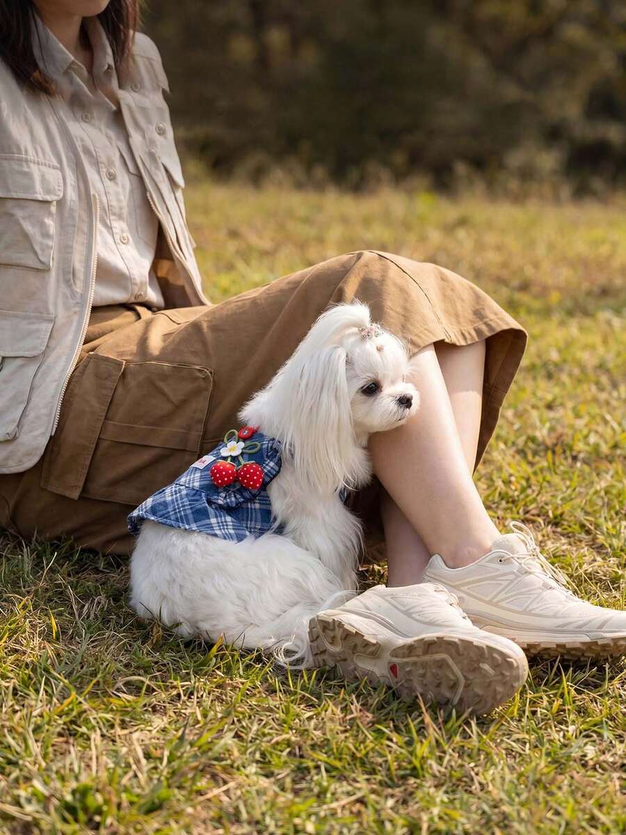 Ein Set aus blau kariertem Haustier-Geschirr-Kleid, süßes Erdbeermuster Hundegeschirr mit Halsband und Leinenschnalle, gerüschter Saum, Haustierzubehör, Katzenzubehör, Hundebekleidung, süßes Top, langanhaltend und abriebfest, biss- und kratzfest, pillingfrei, feine Verarbeitung, geeignet für langhaarige Hunde, Pudel, Bichon Frise, Französische Bulldogge, Schnauzer, Welpen und Katzen, geeignet für Spaziergänge, ganzjährig. - Verschiedenfarbig - Übersicht 1