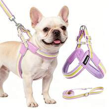(2pcs) No-Pull Dog Harness Step-In Adjustable Vest Soft Padded Easy Pet Chest Strap With Leash Clip, Suitable For Small And Medium Dogs Walking Training - Multicolor - View 4