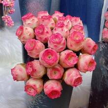 Outdoor Decor - 100 Pcs/Seeds - View 3