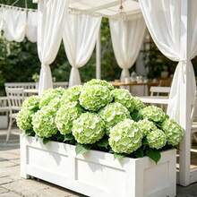 1 pieza/2 piezas/4 piezas Flores de Hortensia Artificiales Verdes de 15.35 Pulgadas, Decoración Floral de Hortensia Falsa con Tacto Realista para el Hogar, Jardín Exterior, Boda, Navidad, Oficina, Fiesta Familiar, Sala de Estar, Mesa de Comedor - Verde - Ver 6