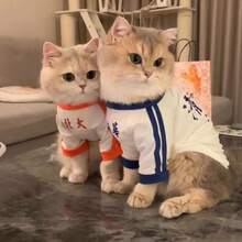 透气防掉毛宠物衣服，适合小型/中型猫咪，可机洗，猫咪T恤 - 藍色 - 查看 4