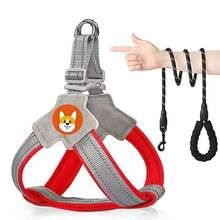 1 Conjunto de Peitoral e Guia para Cachorro, Respirável, Reflexivo e Resistente - Multicolorido - Visão 5