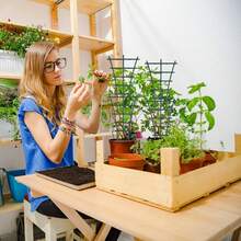 6-teiliges Klettergestell für Zimmerpflanzen, Pflanzenstütze für den Garten, wiederverwendbare Pflanzenstütze für den Garten, bietet Pflanzen zusätzlichen Platz zum Wachsen, geeignet für Kletterpflanzen, Gemüsepflanzen, Blumen und Hausgarten - 6 Stück - Übersicht 6