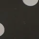 الأسود